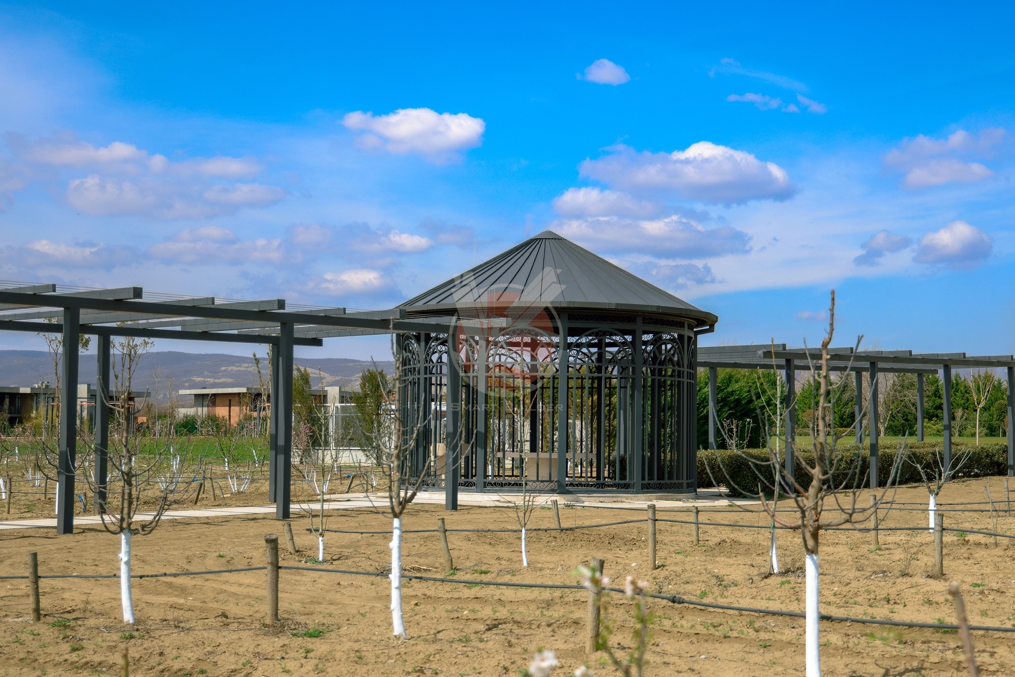 448405729_122121273140295772_4290359684061125465_n