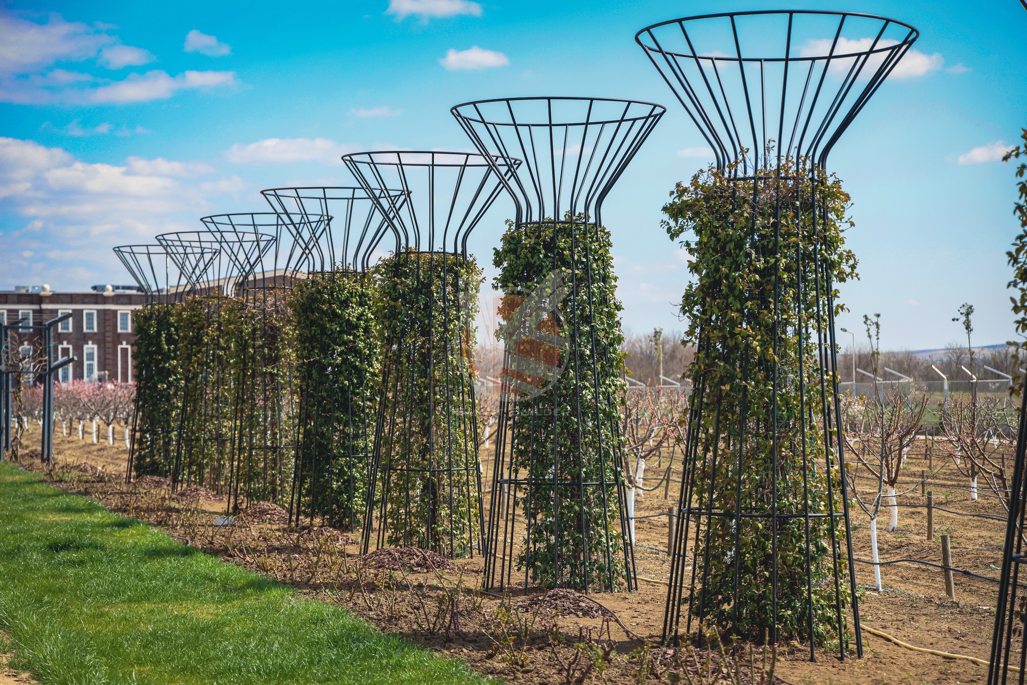 448406347_122121273020295772_4355921912303622878_n