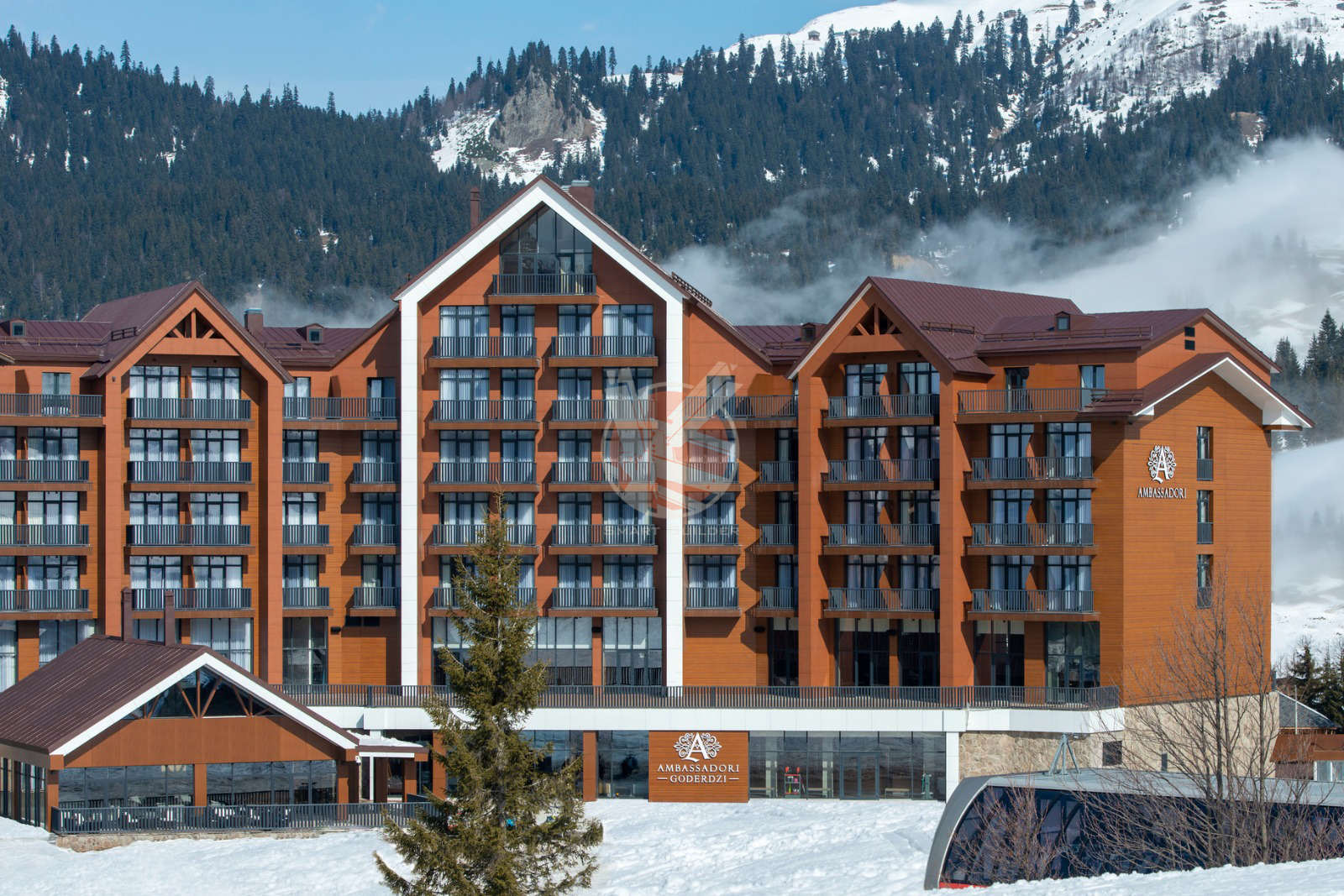 449640291_122124400328295772_4315240314333887006_n